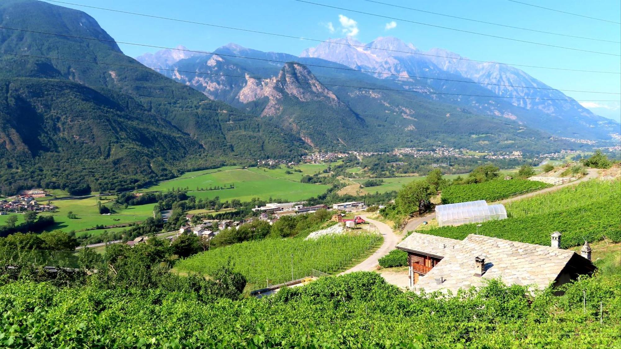 La Vrille - Chambres D'Hotes Verrayes ภายนอก รูปภาพ
