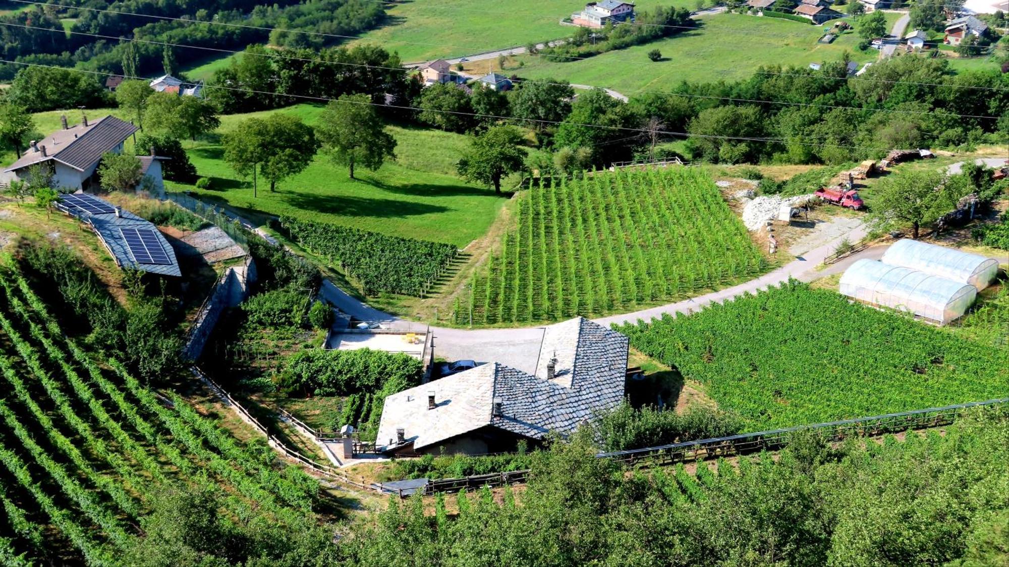 La Vrille - Chambres D'Hotes Verrayes ภายนอก รูปภาพ