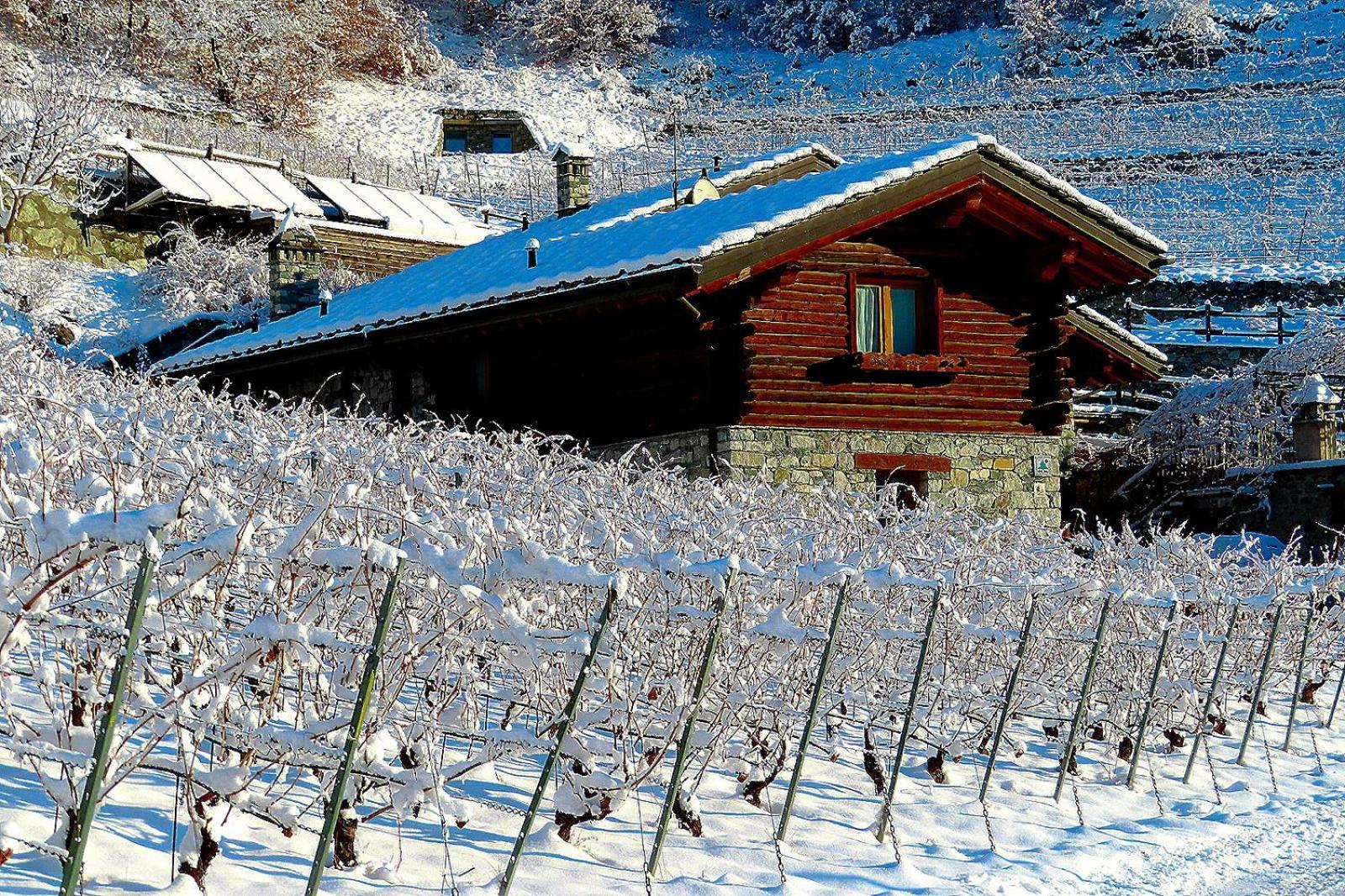 La Vrille - Chambres D'Hotes Verrayes ภายนอก รูปภาพ