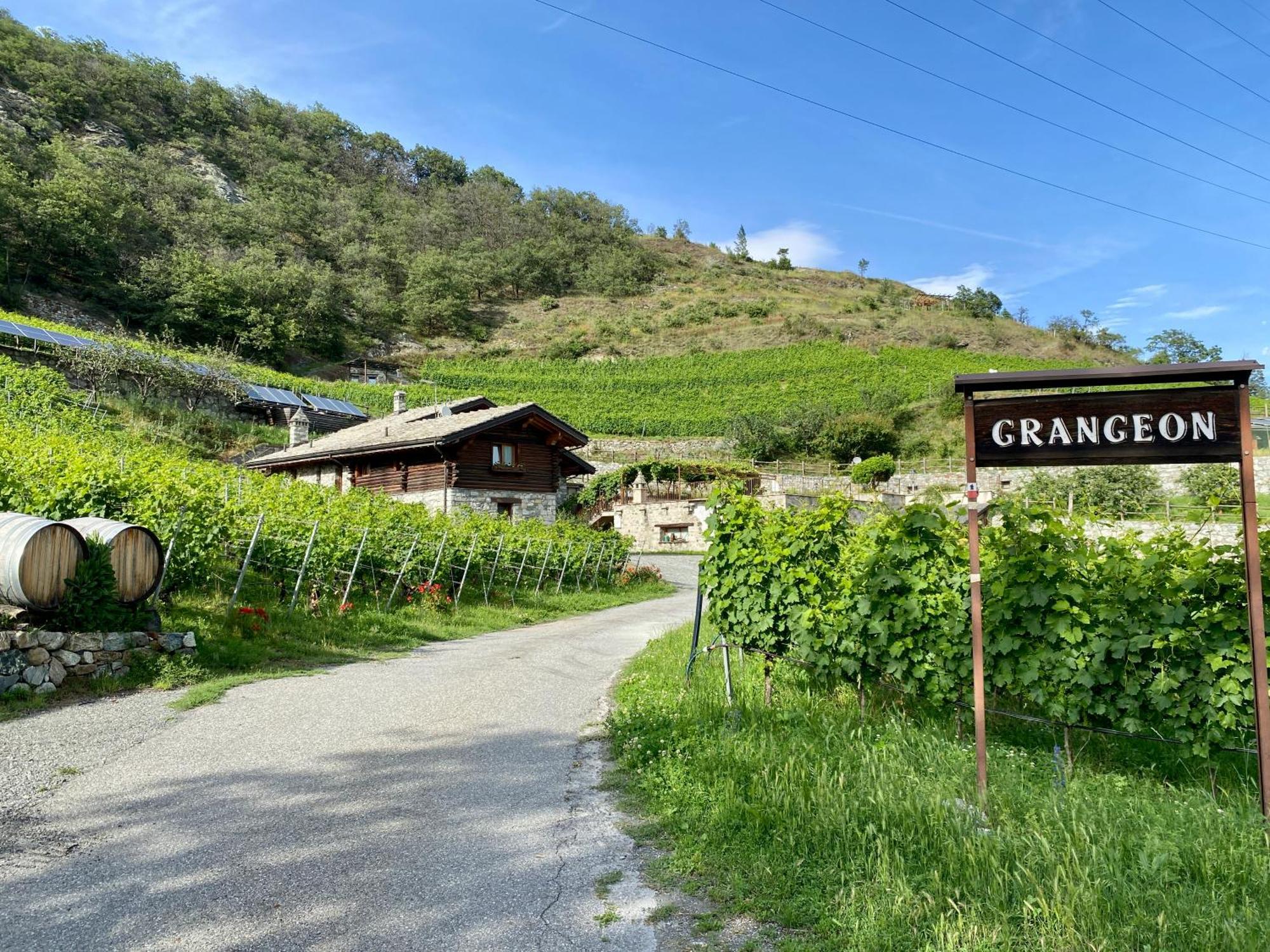 La Vrille - Chambres D'Hotes Verrayes ภายนอก รูปภาพ